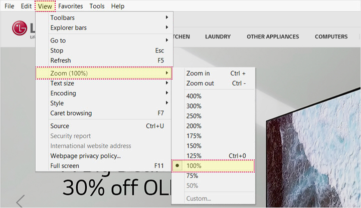 This image shows the menu in Internet Explorer. The settings "View", "Zoom (100%) and "100%" are highlighted.