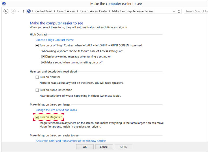 This image shows the "Make the computer easier to see" controls in Windows. A checked checkbox with "Turn on Magnifier" is highlighted.
